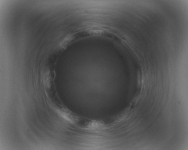 X0000082930223200702011248