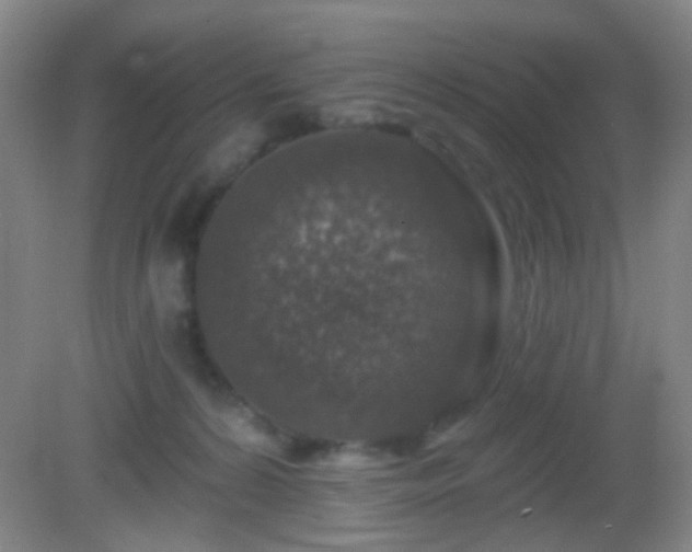 X0000082930224200702011248