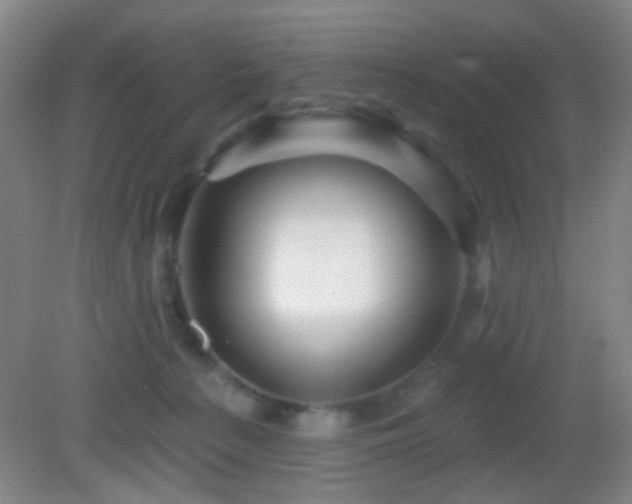 X0000082930225200702011248