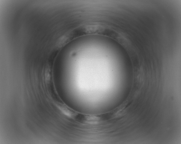 X0000082930226200702011248