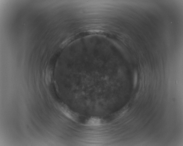 X0000082930227200702011248