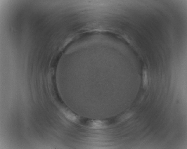 X0000082930229200702011248