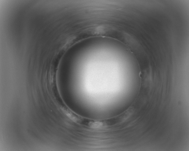 X0000082930230200702011248