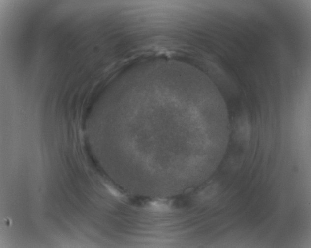 X0000082930232200702011248