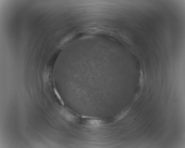 X0000082930233200702011248