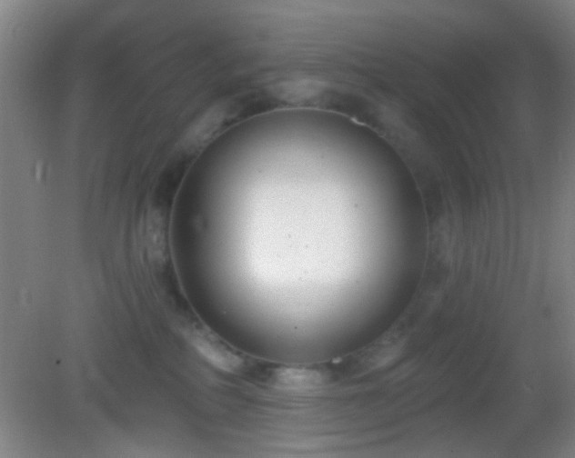 X0000082930234200702011248