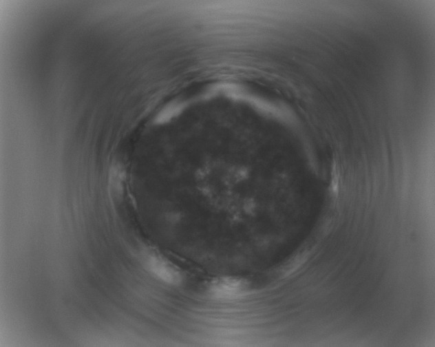 X0000082930235200702011248