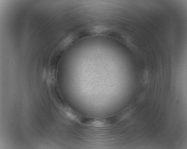 X0000082930236200702011248