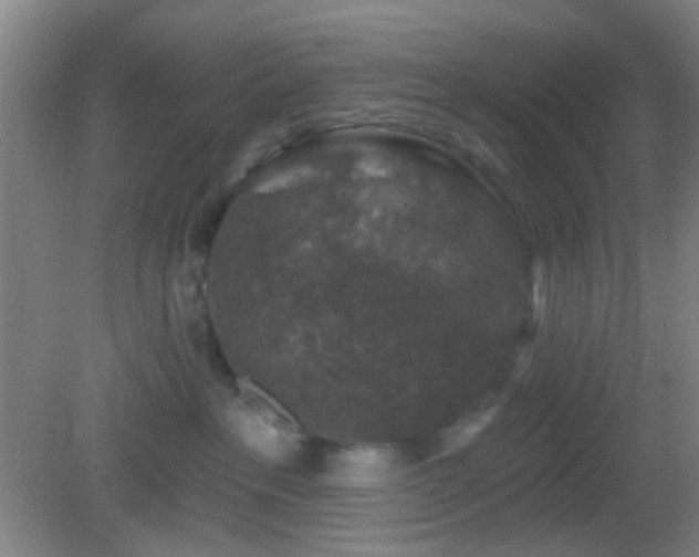 X0000082930237200702011248