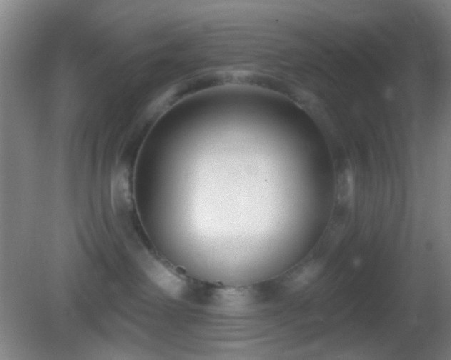 X0000082930238200702011248