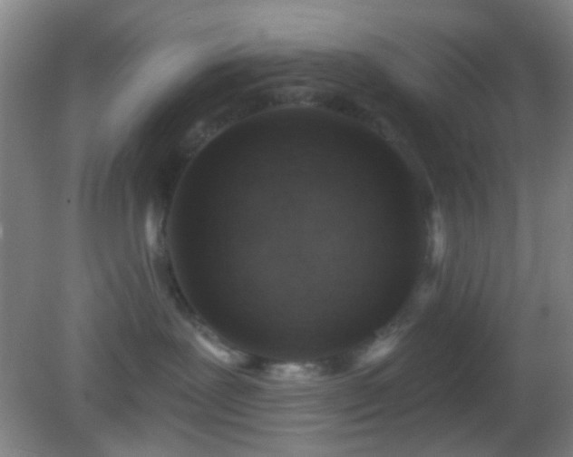 X0000082930239200702011248