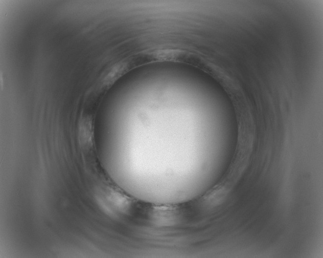 X0000082930240200702011248