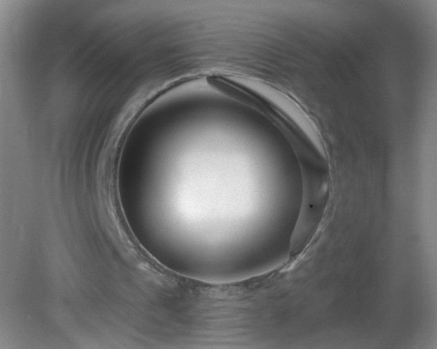 X0000082930241200702011247