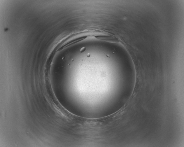 X0000082930242200702011247