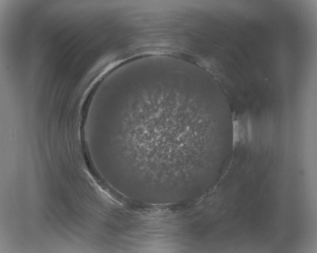 X0000082930243200702011247