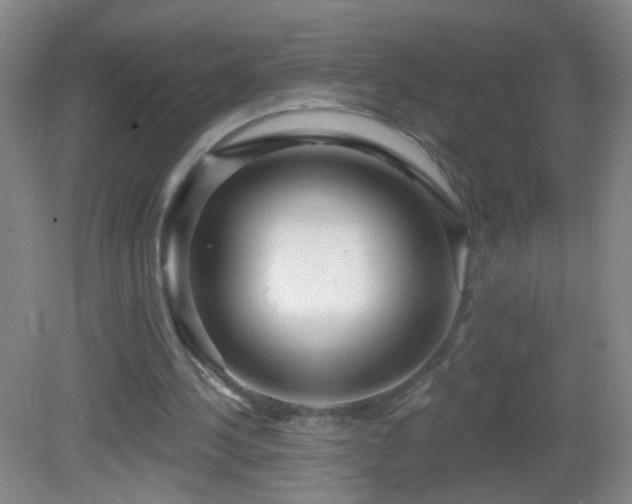 X0000082930244200702011247