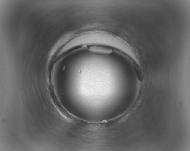 X0000082930245200702011247