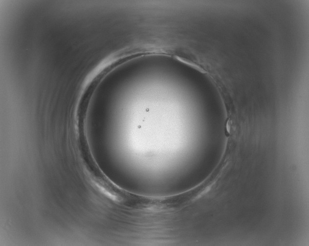 X0000082930246200702011247