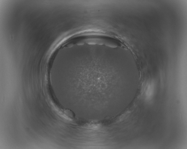 X0000082930247200702011247