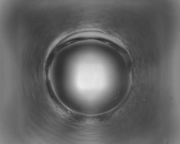 X0000082930248200702011247