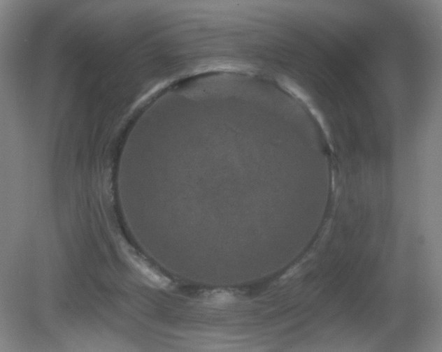 X0000082930249200702011247