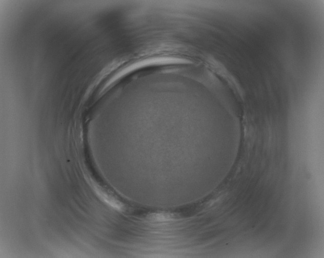 X0000082930250200702011247