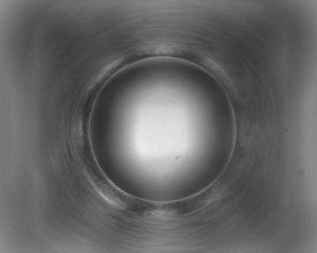 X0000082930251200702011247