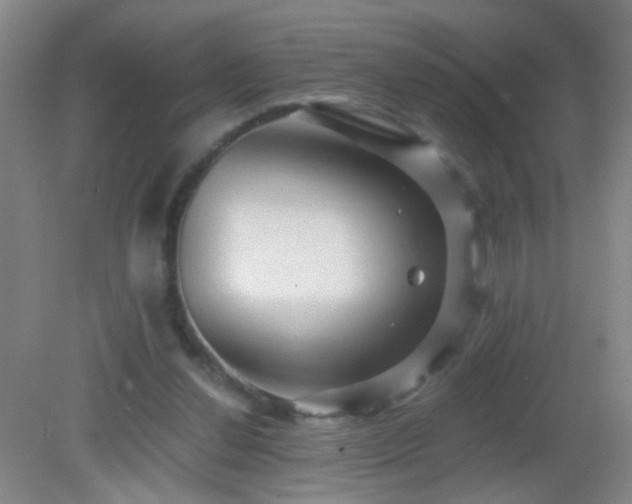 X0000082930252200702011247