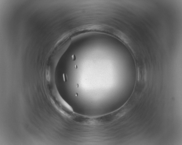 X0000082930253200702011247