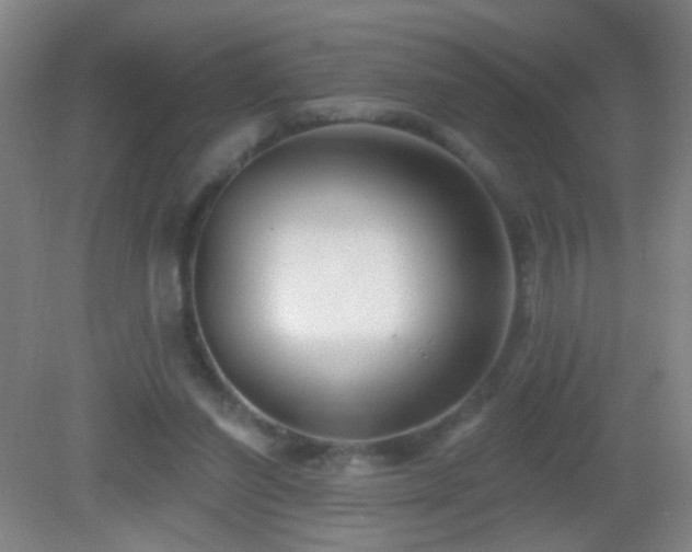 X0000082930254200702011247