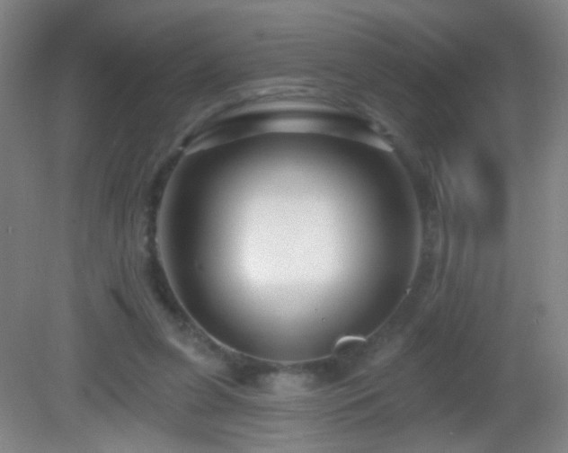 X0000082930255200702011247