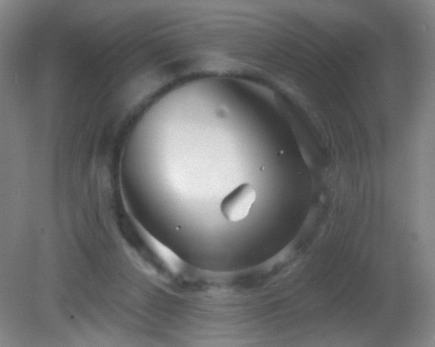 X0000082930256200702011247