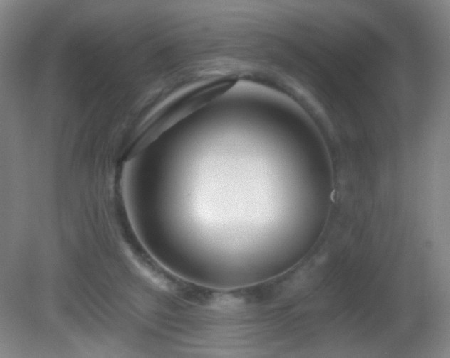 X0000082930257200702011247