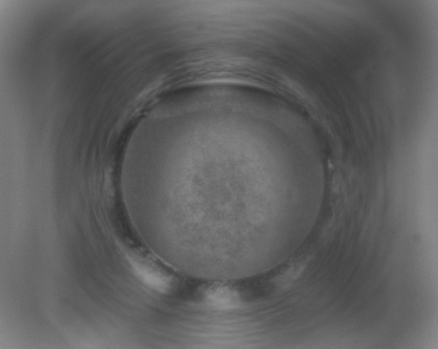 X0000082930258200702011247