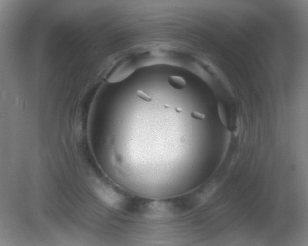 X0000082930261200702011247