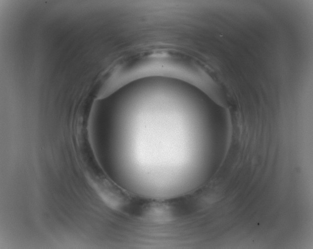 X0000082930263200702011247