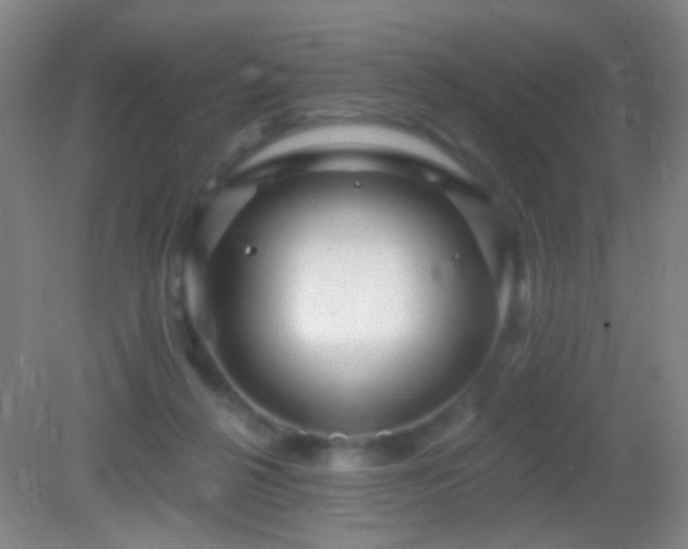 X0000082930264200702011247