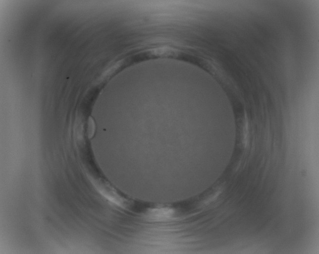 X0000082930266200702011247