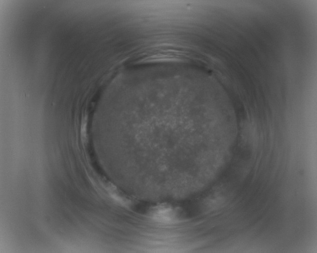 X0000082930267200702011247