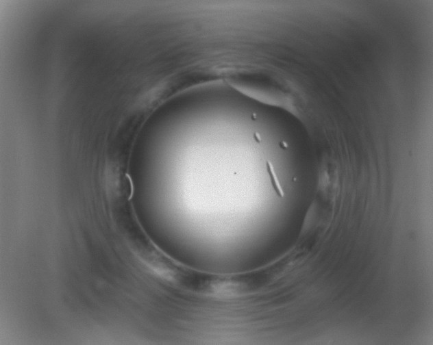 X0000082930268200702011247