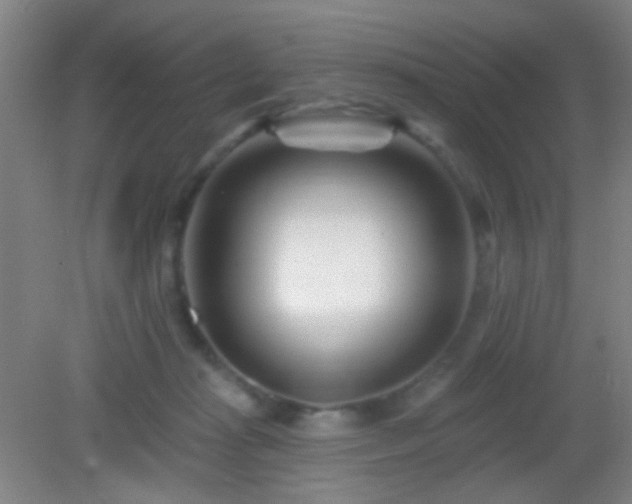 X0000082930269200702011247