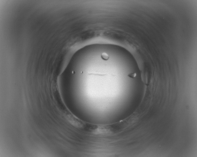 X0000082930270200702011247