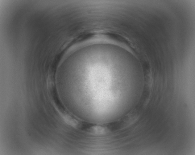 X0000082930272200702011247