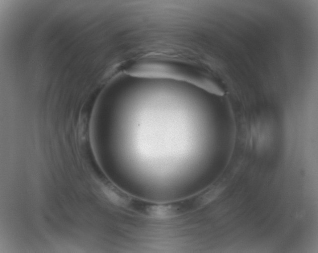 X0000082930273200702011247