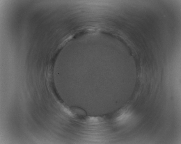 X0000082930277200702011247