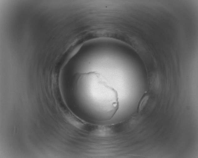 X0000082930278200702011248