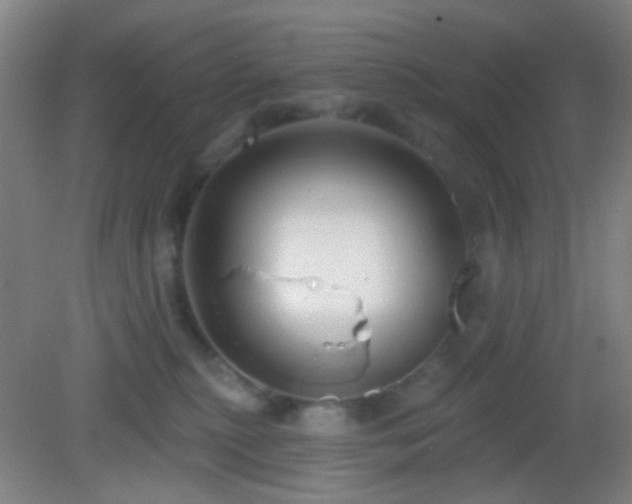 X0000082930279200702011248