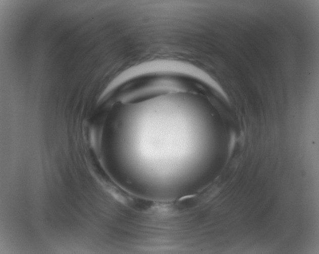 X0000082930280200702011248