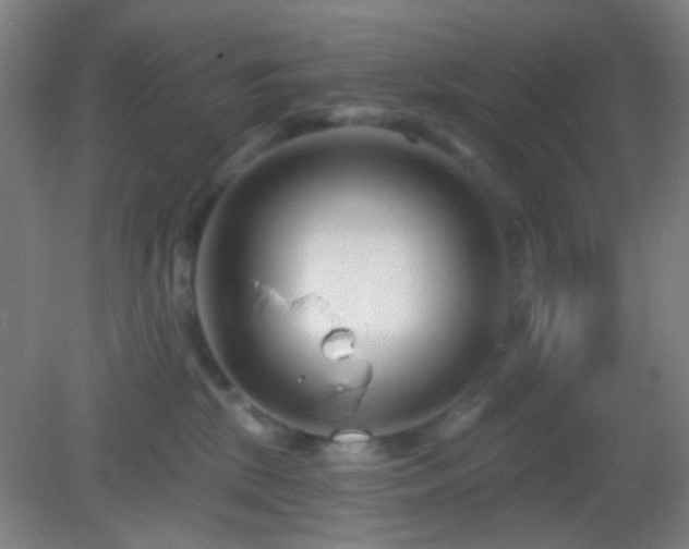 X0000082930281200702011248