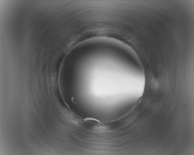 X0000082930283200702011248